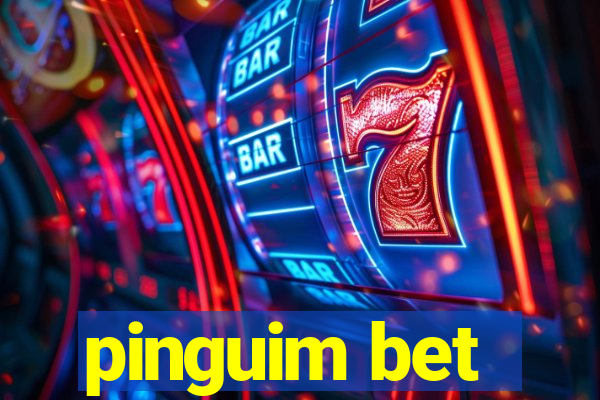 pinguim bet